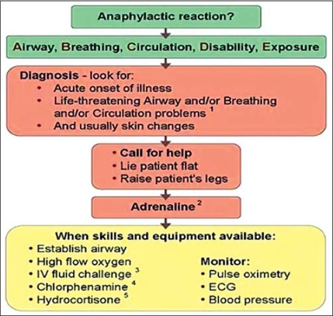 How to recognise the symptoms of Anaphylaxis shock