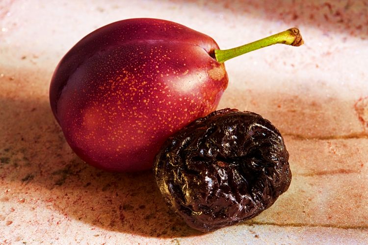 Most of the nutrients and health benefits of fresh plums are retained in prunes and are concentrated