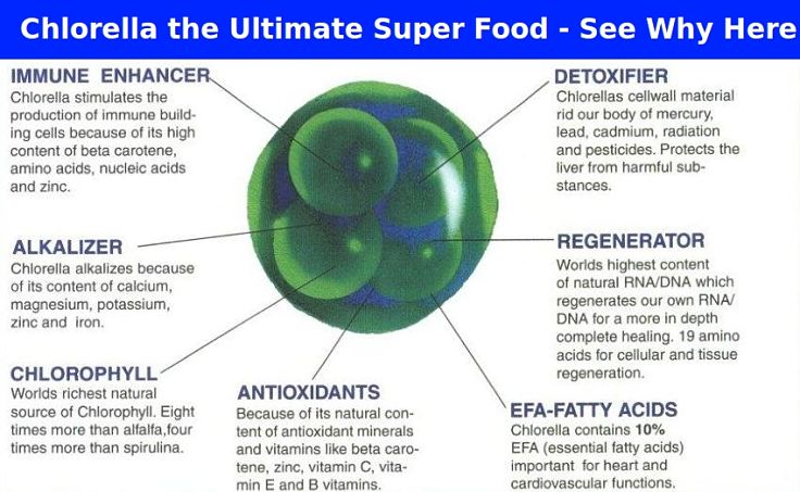 Chlorella the ultimate Superfood