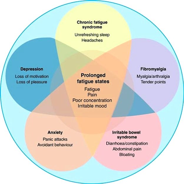 Chronic Fatigue Syndrome - Symptoms and Characteristics - Image 3