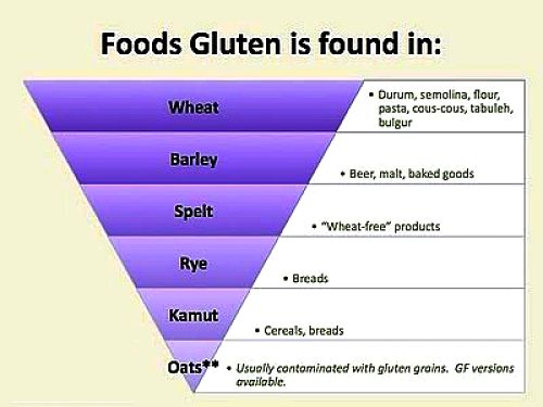 How the amount of gluten varies between various types of grains
