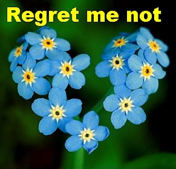 Regret me Not