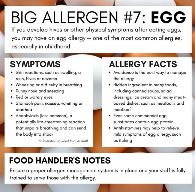 All about egg allergy - see more in this article