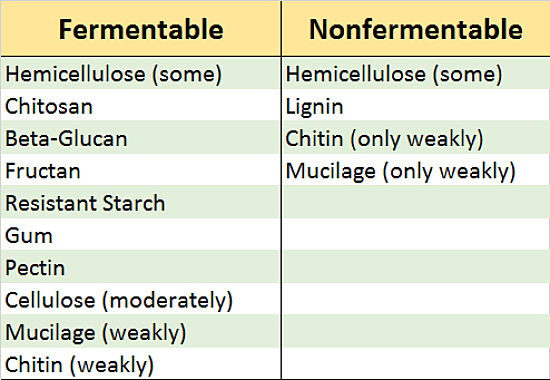 Table summarizing fermentable and Nonfermentable Fiber in foods which is mostly carbohydrate. Fermentable (Indigestible) Carbohydrates are the key for dietary benefits.
