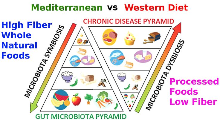 Western diets with low fiber and high levels of processed foods are much less healthy than Mediterranean dietary foods that are high in fiber and support gut microbiota.