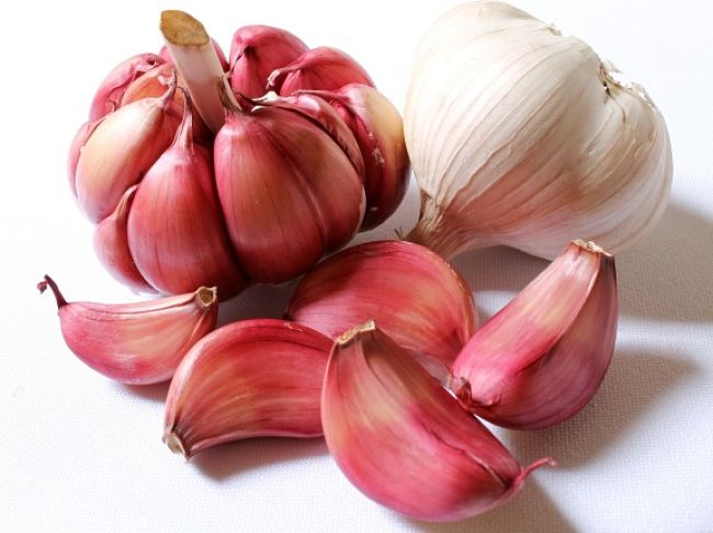 Garlic - Image 1