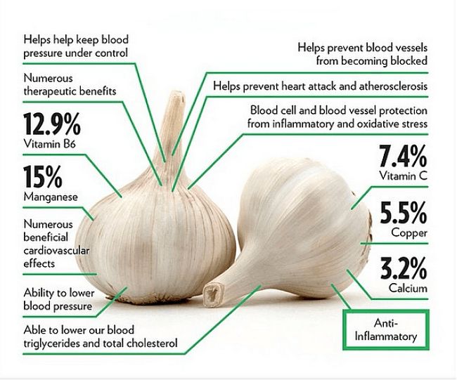 The health Benefits of Garlic
