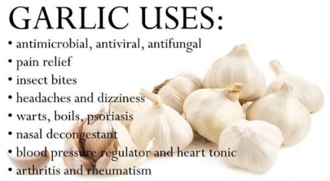 Health and medicinal uses for fresh garlic