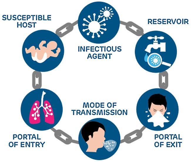 The chain of infection - discover how to break the links to avoid infections at work