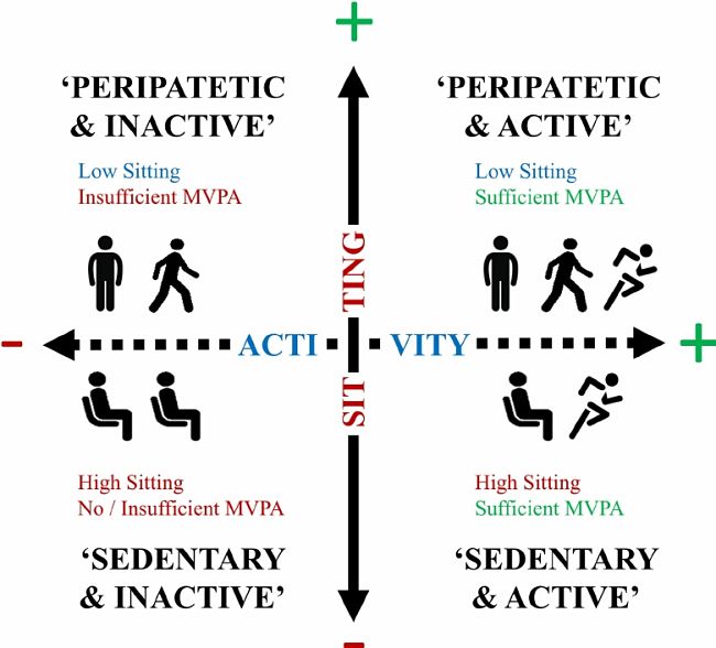 Muscle Loss with Age - Figure 5