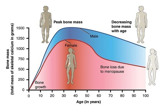 Changes in bone density with age in men and women