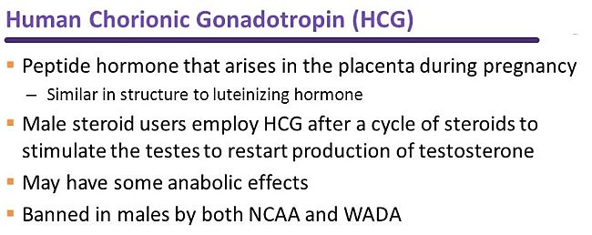 HCG peptide is a banned substance