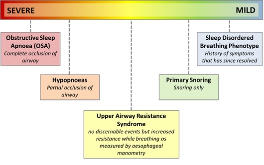 Range of disturbed sleeping issues. Learn to read the symptoms