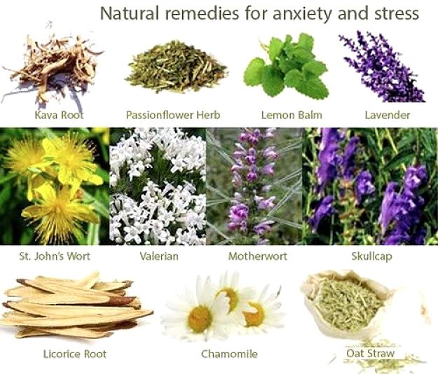 Natural Remedies for Anxiety and Stress