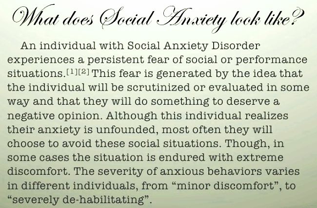 What does Social Anxiety Disorder mean to a sufferer